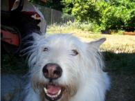 Kayla at Pawsitive Adventures