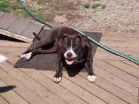 Carly at Pawsitive Adventures