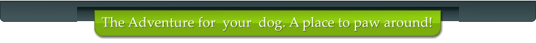 The Adventure for  your  dog. A place to paw around!
