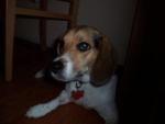 See more on Atticus