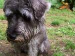 See more on Bailey
