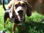 See more on Baxter