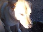 See more on Boomer