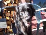 See more on Dottie