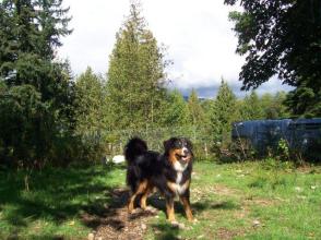 Logan