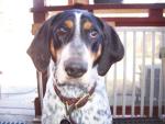 See more on Scout